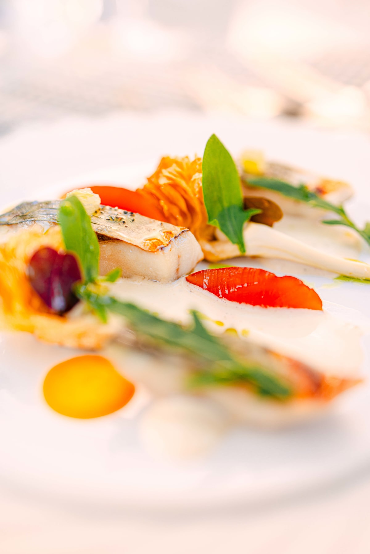La Terrasse, Saint-Tropez: Lisette And Artichoke (6)