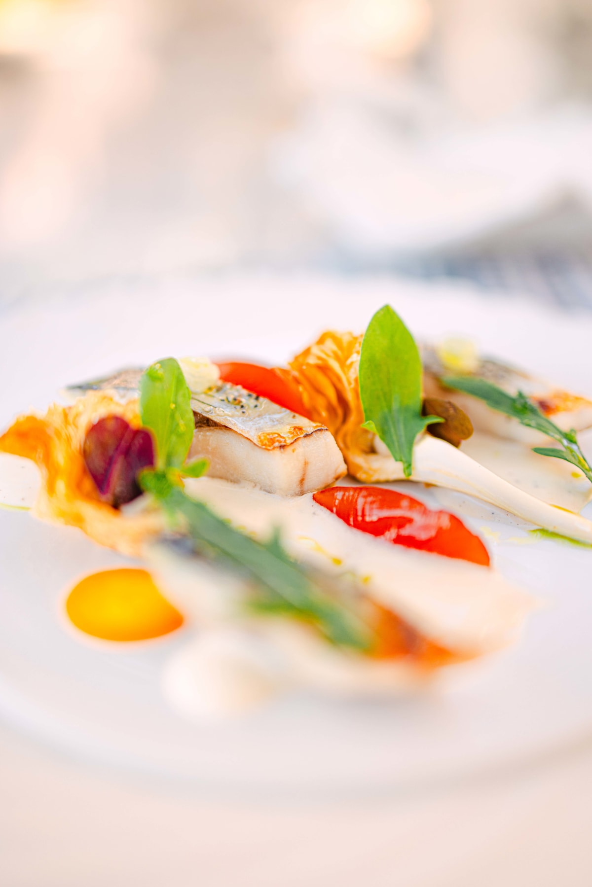 La Terrasse, Saint-Tropez: Lisette And Artichoke (7)