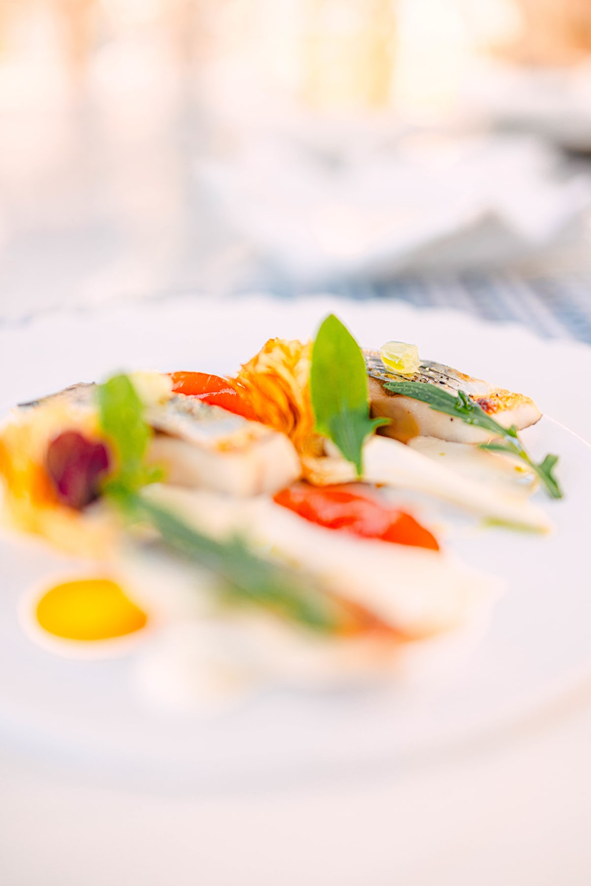 La Terrasse, Saint-Tropez: Lisette And Artichoke (8)