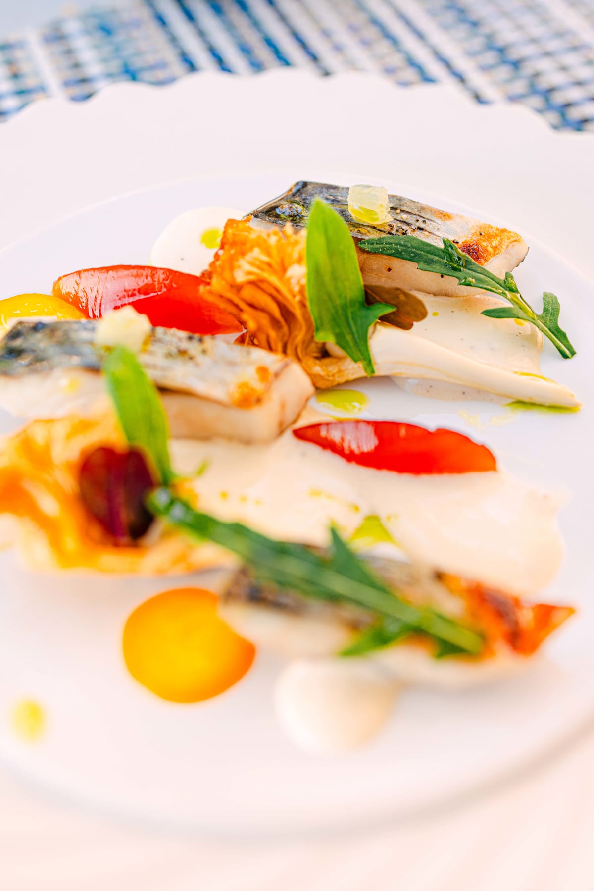 La Terrasse, Saint-Tropez: Lisette And Artichoke (9)