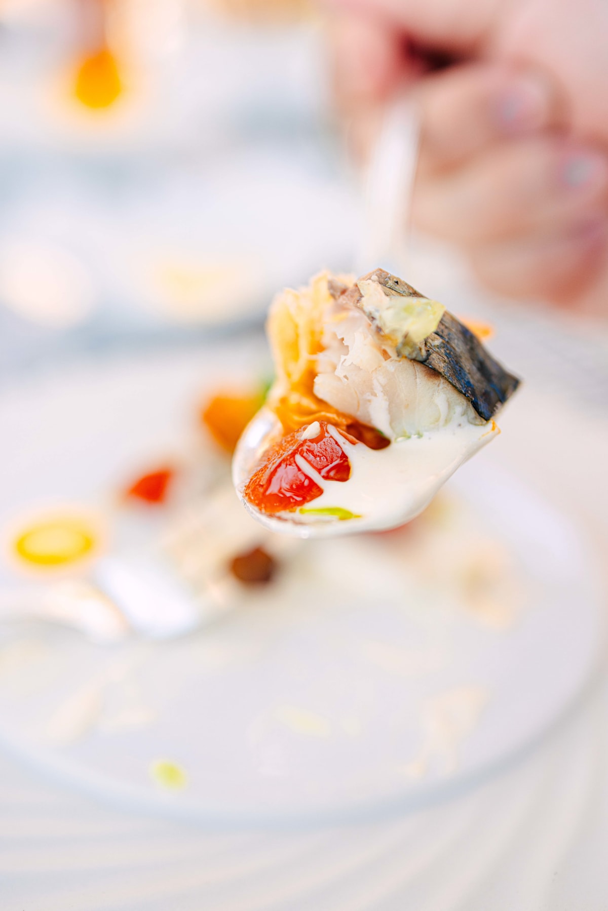 La Terrasse, Saint-Tropez: Lisette And Artichoke (12)