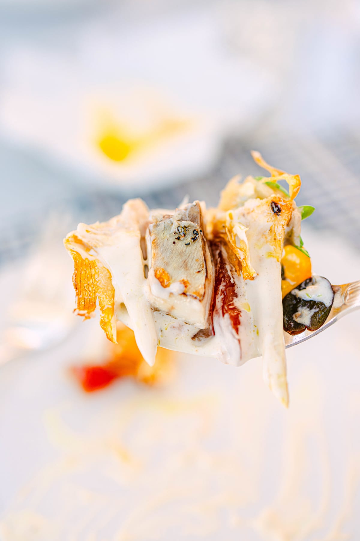 La Terrasse, Saint-Tropez: Lisette And Artichoke (13)