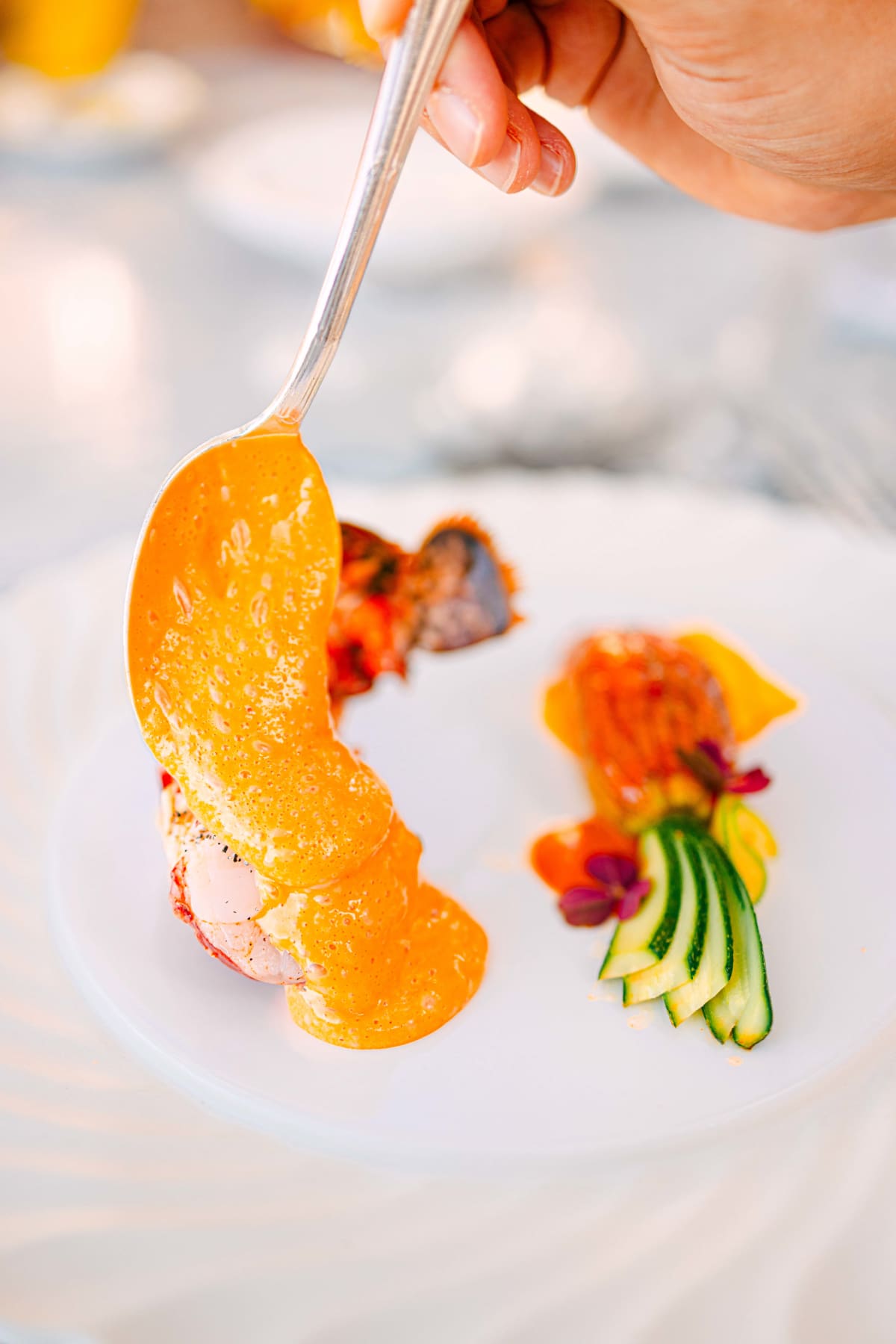 La Terrasse, Saint-Tropez: The Lobster (5)