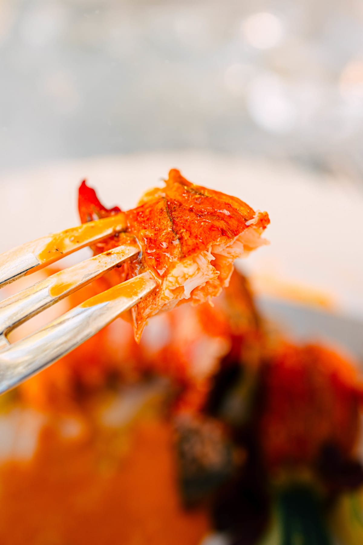 La Terrasse, Saint-Tropez: The Lobster (10)