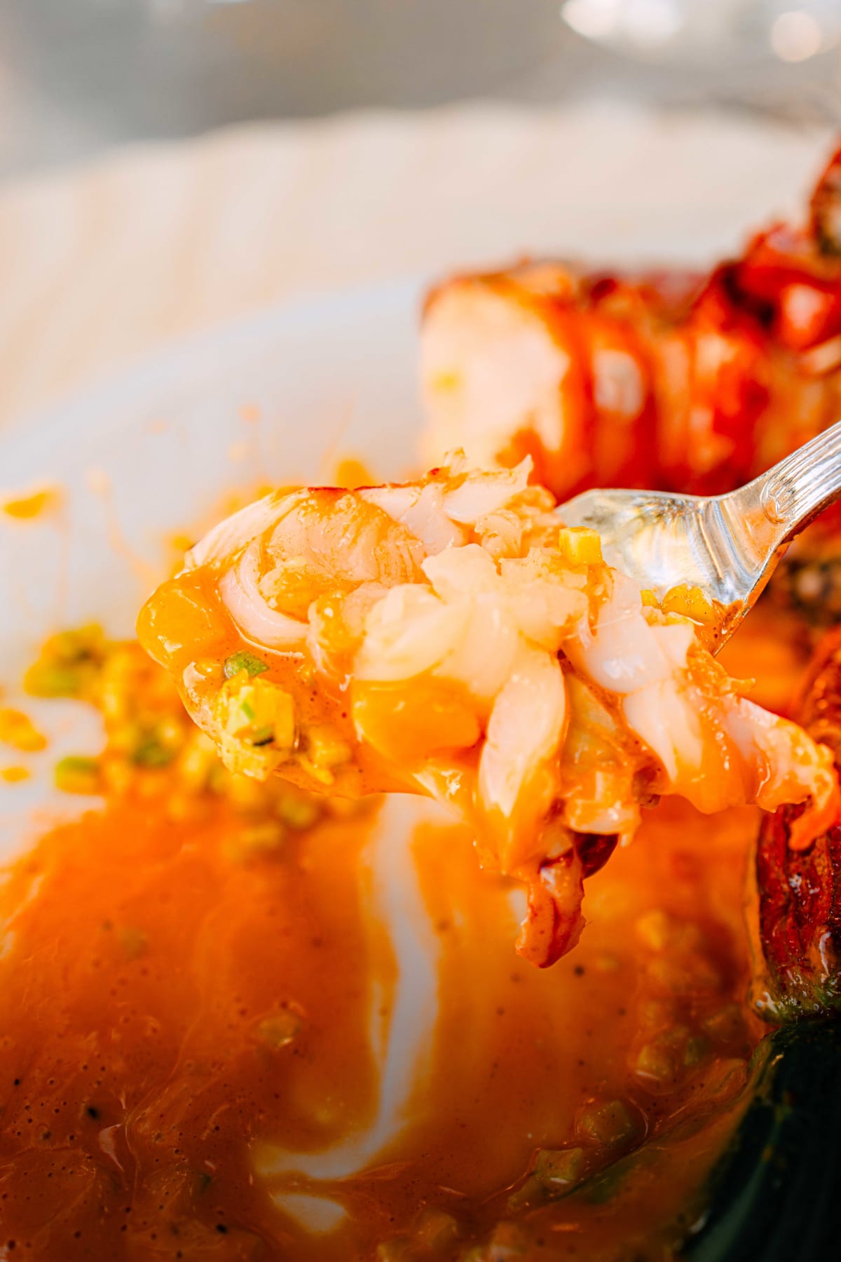 La Terrasse, Saint-Tropez: The Lobster (14)