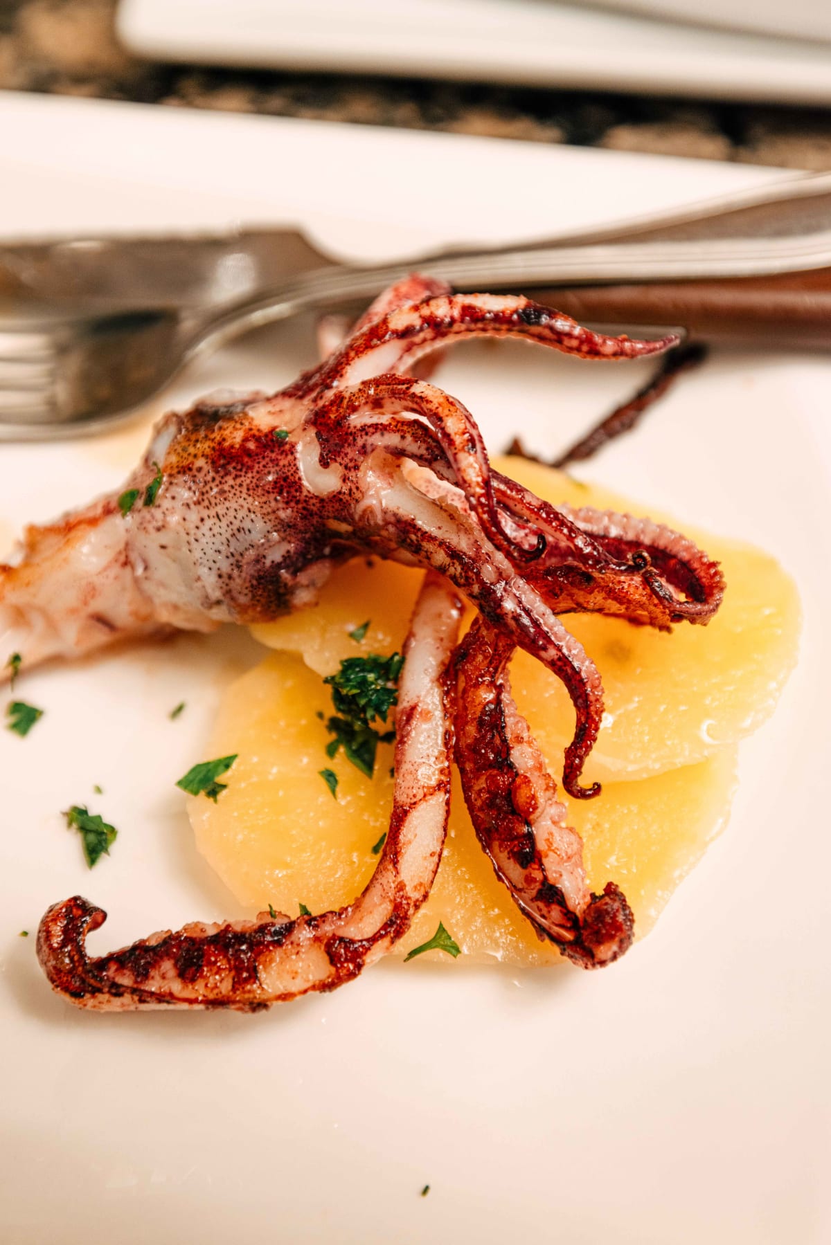 Ganbara, San Sebastián: The Squid (3)
