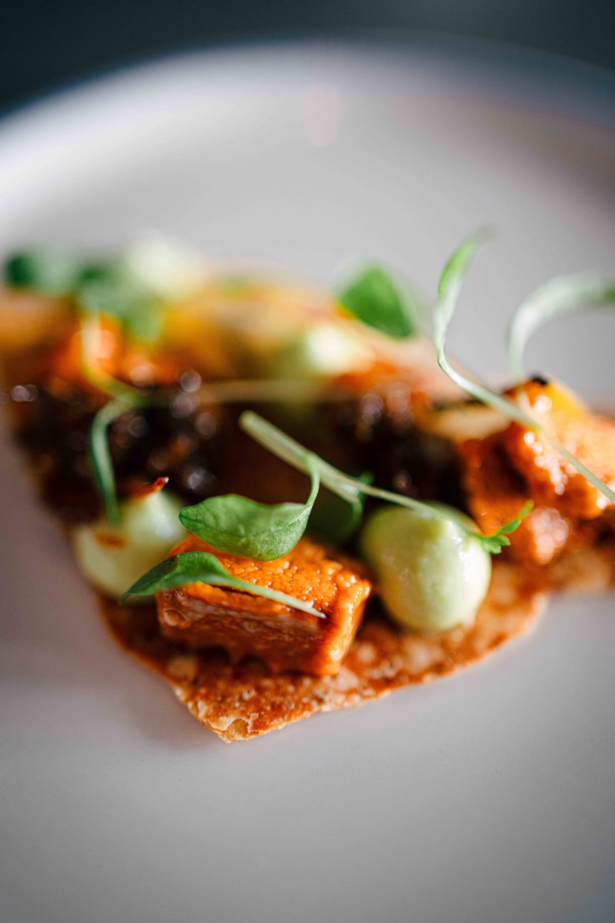 Exquisine, Seoul: the sea urchin on the taco in close focus
