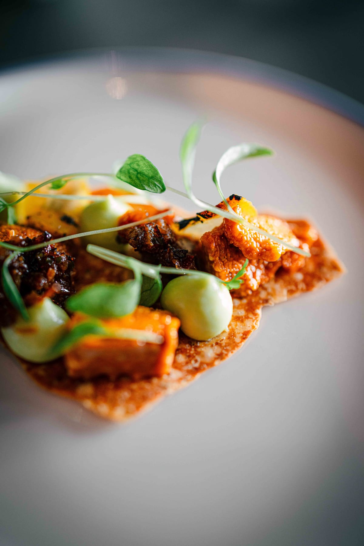 Exquisine, Seoul: the sea urchin taco up close, with green dots of purée and dark crumbs
