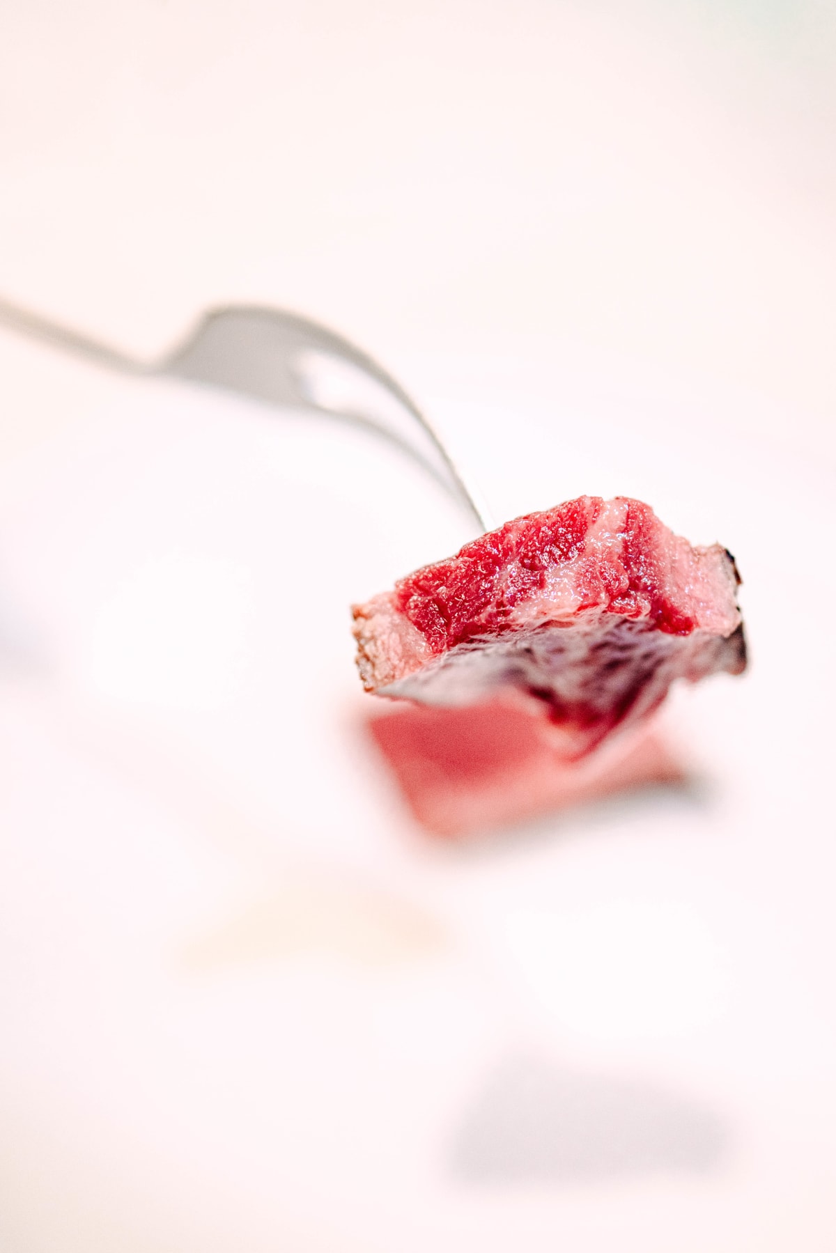 Asador Etxebarri, Axpe: Partridge And Chop (17)