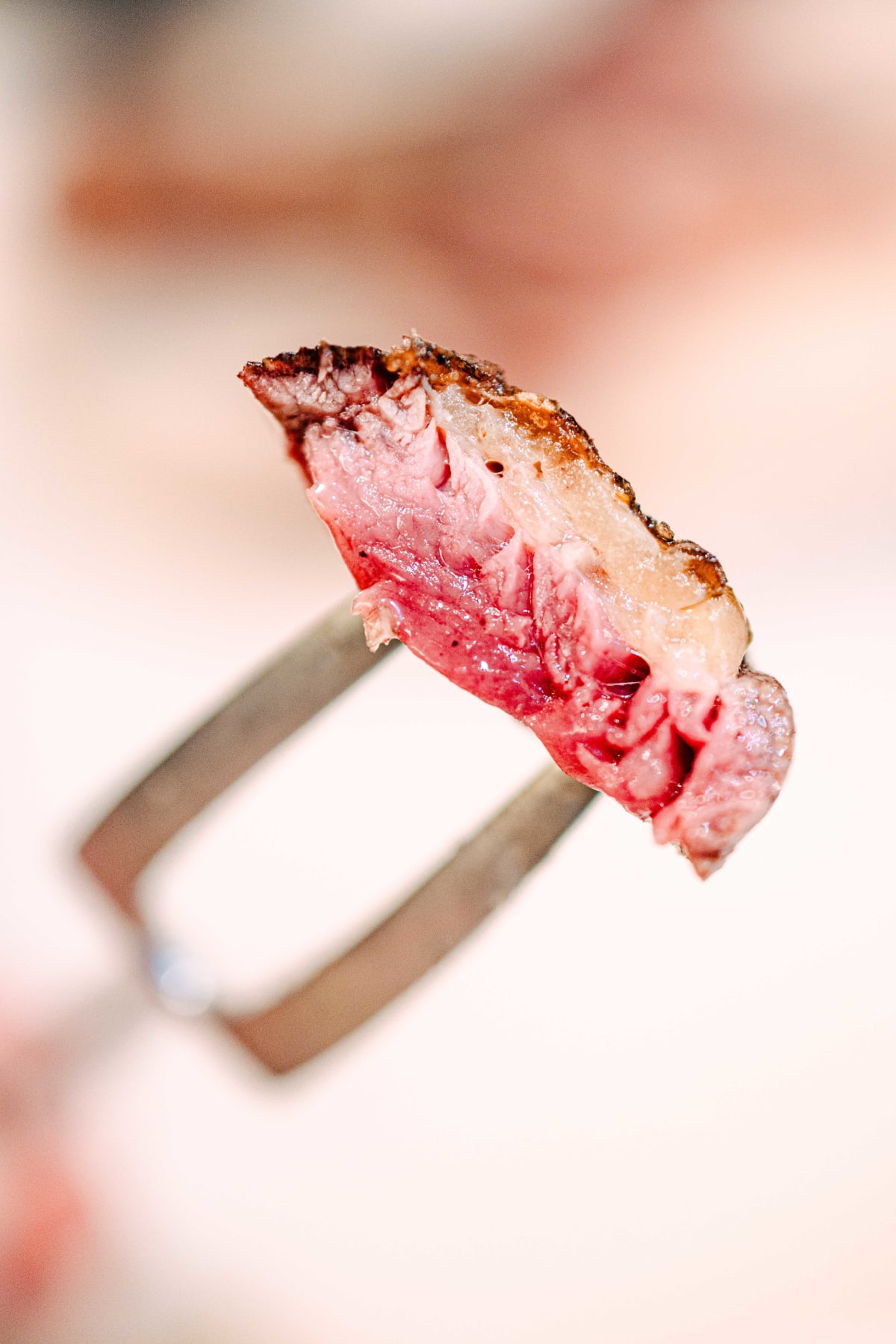 Asador Etxebarri, Axpe: Partridge And Chop (19)