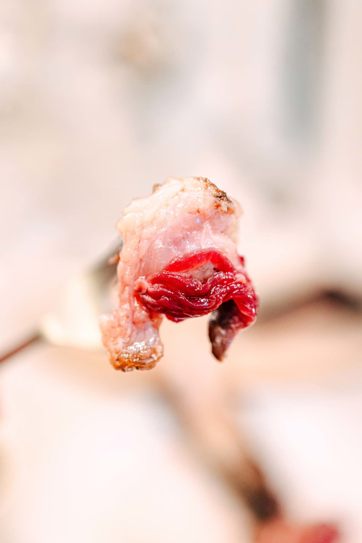 Asador Etxebarri, Axpe: Partridge And Chop (21)