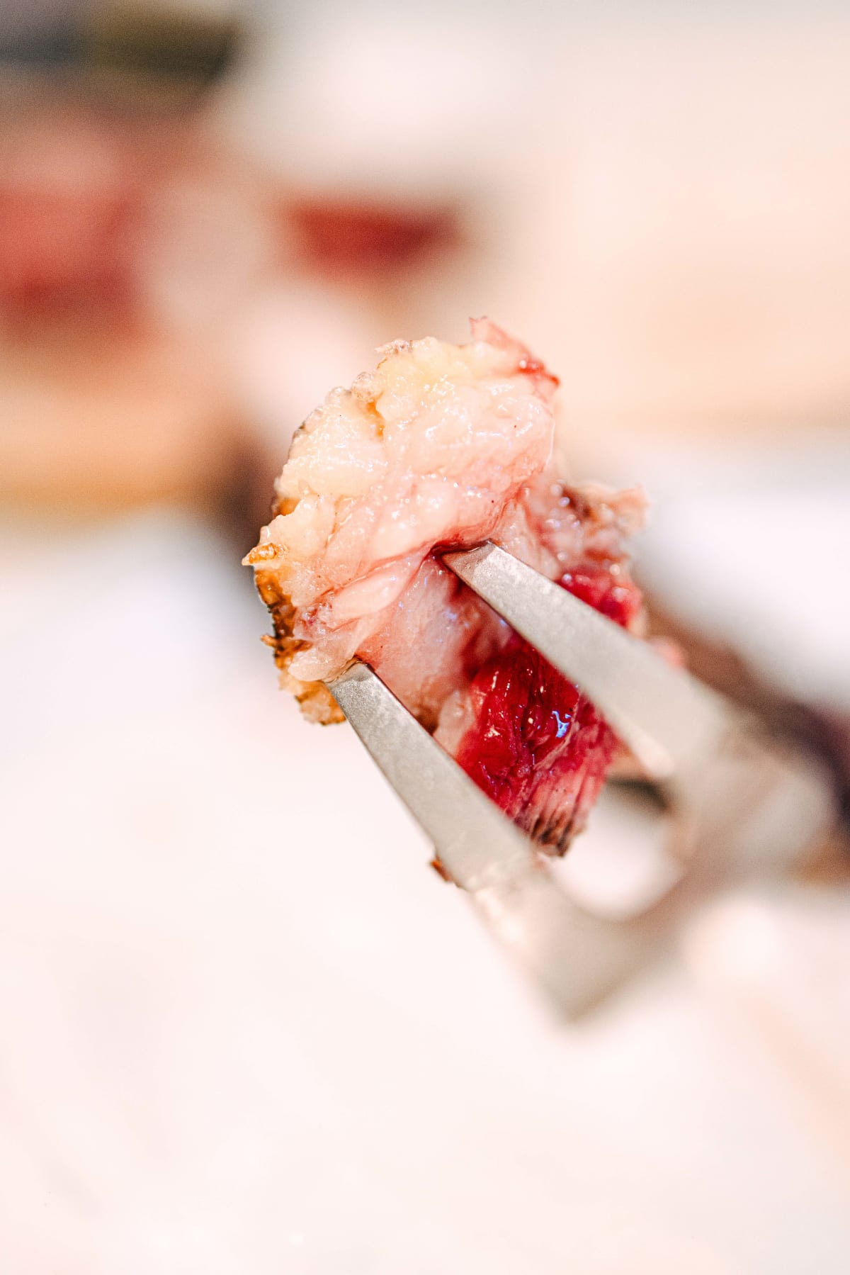 Asador Etxebarri, Axpe: Partridge And Chop (22)