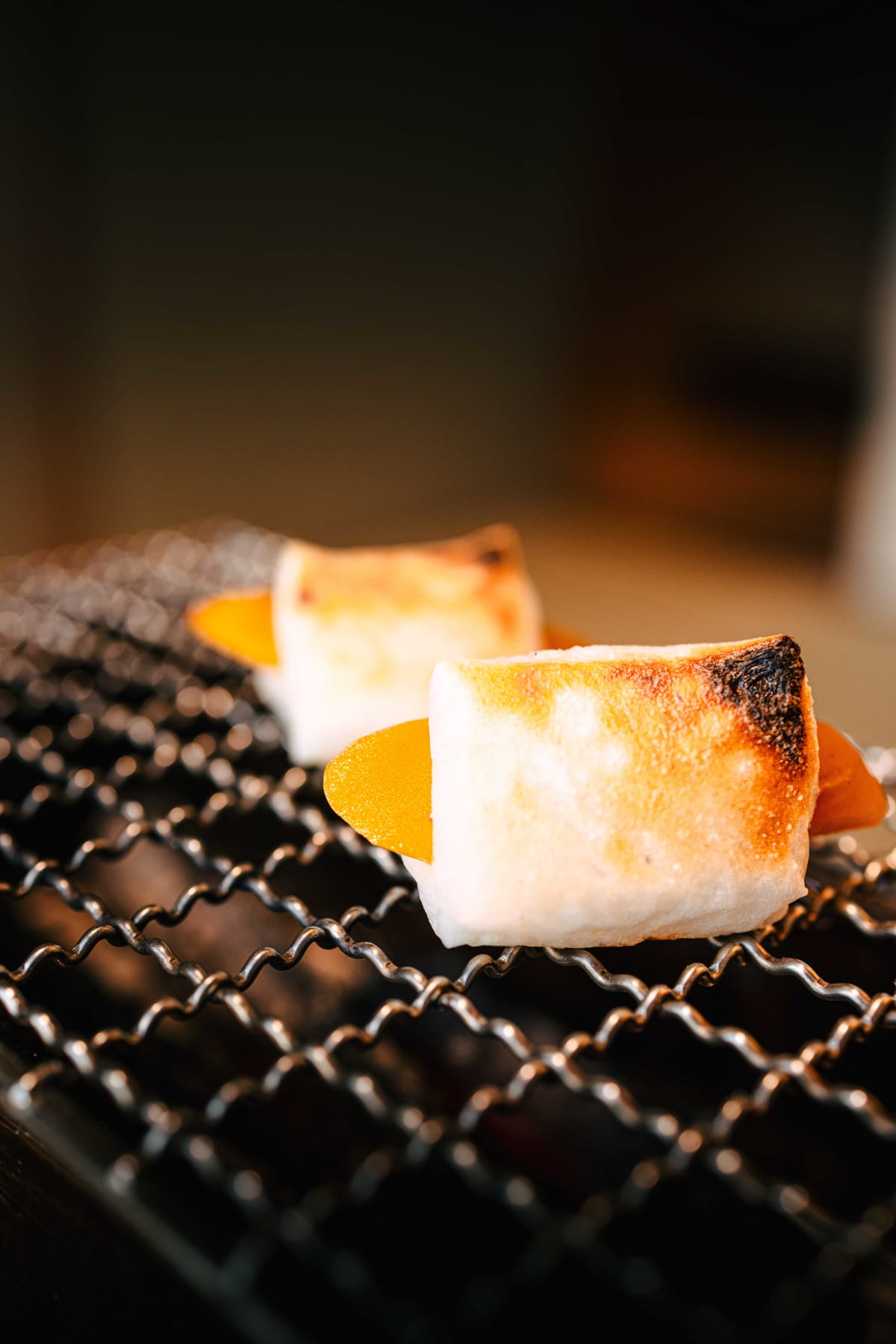 Matsukawa, Tokyo: The Brazier In The Room (4)