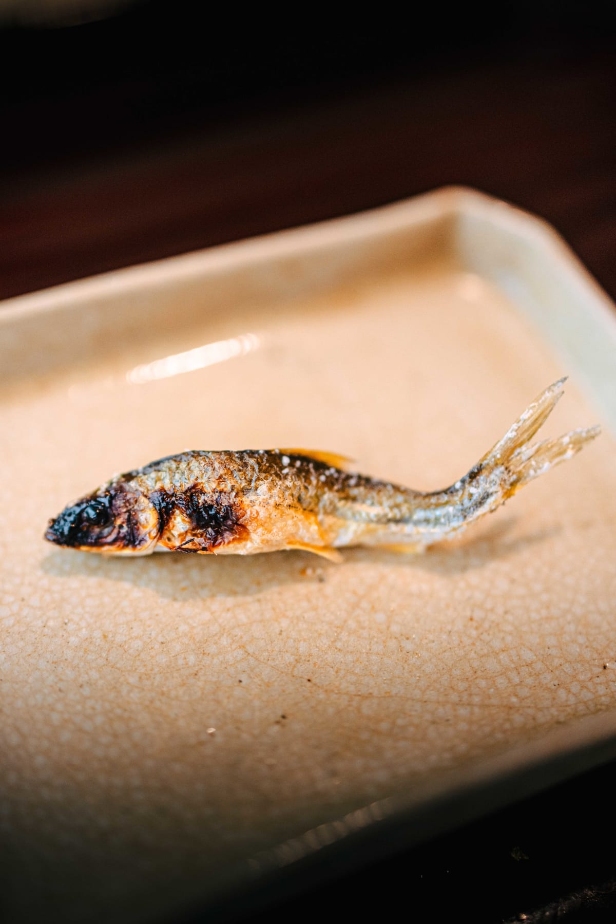 Matsukawa, Tokyo: The Brazier In The Room (10)