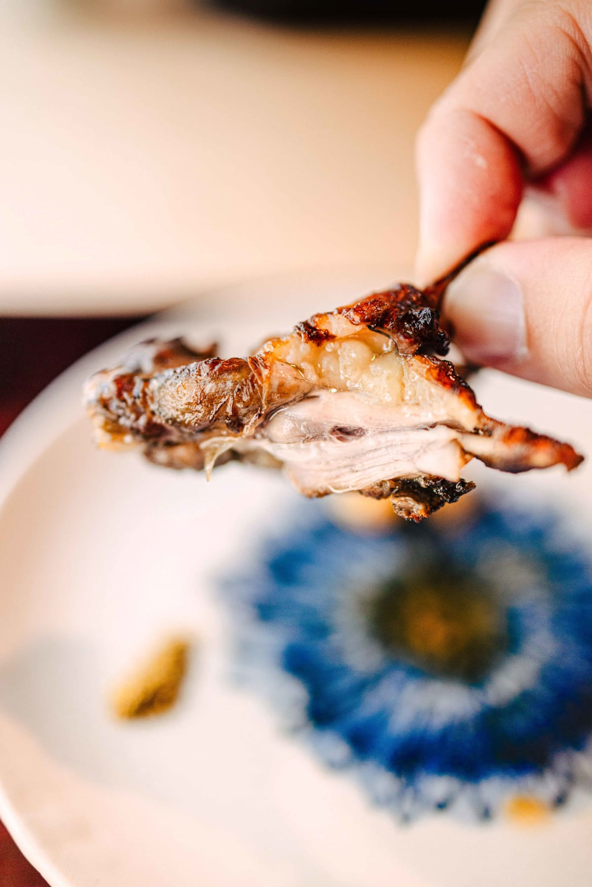 Matsukawa, Tokyo: a piece of the turtle held by the bone