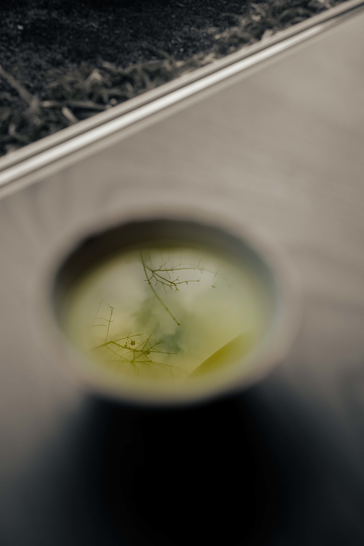 Matsukawa, Tokyo: bare branches reflected in the last cup of green tea
