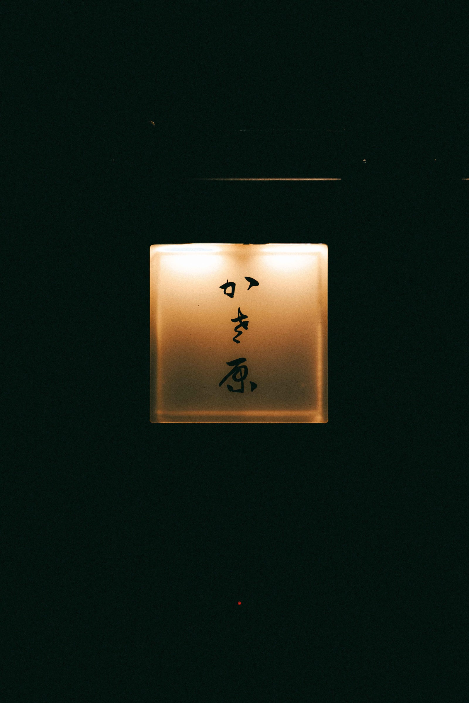 Kasahara, Tokyo: Why Yakitori (1)