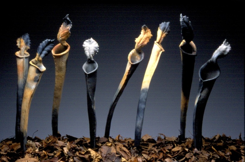 Offering artwork