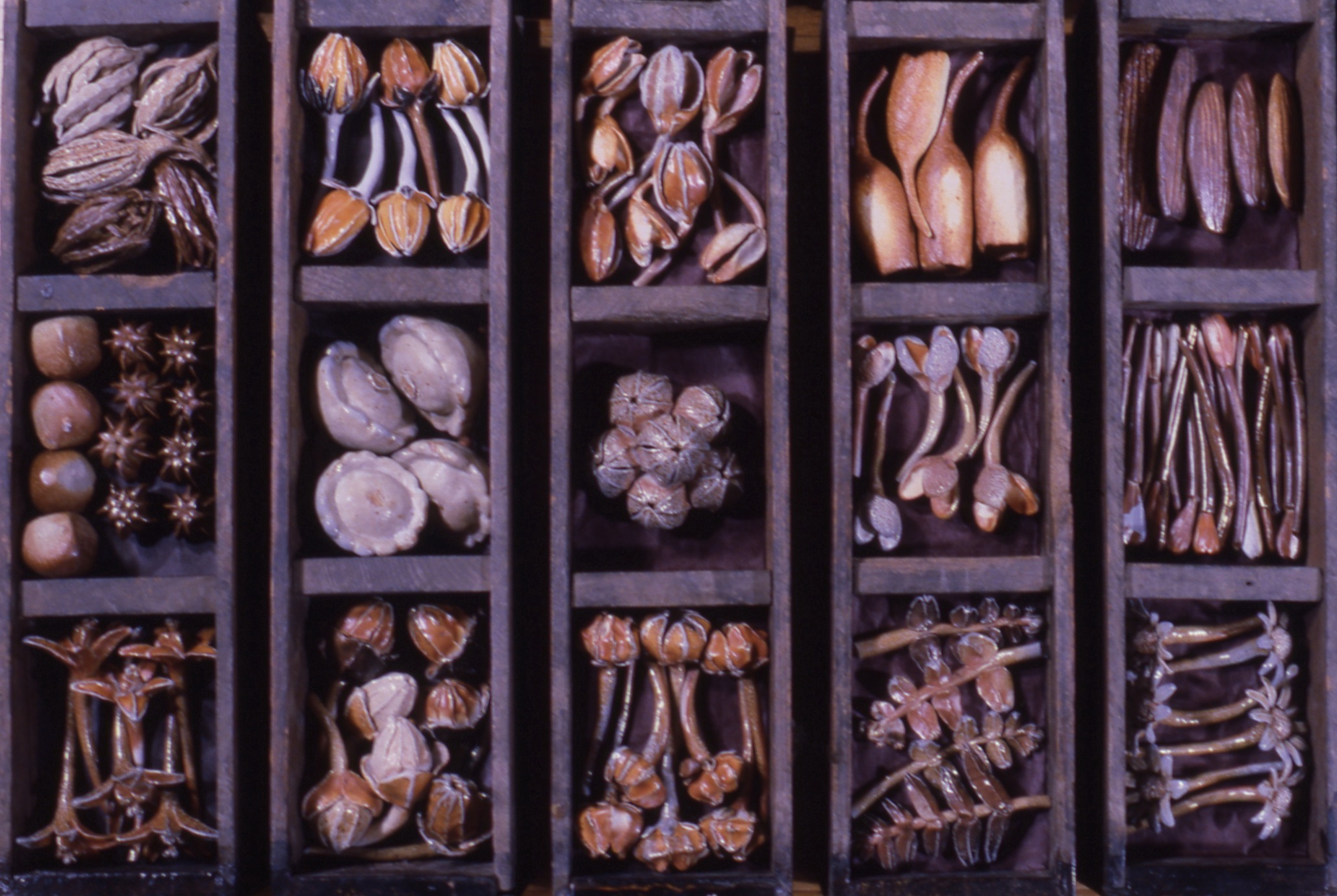Each Seed a New Life artwork