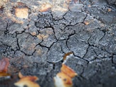 Слабое землетрясение в Охотском море у Южных Курил