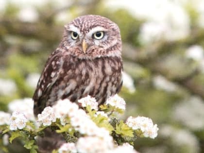 Народные приметы на 17 апреля — что нельзя делать в этот день