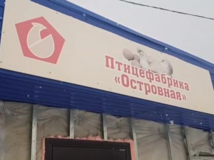 Вирус гриппа А подтвердили на сахалинской птицефабрике «Островная»