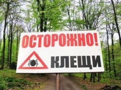 Осторожно,                  клещи !