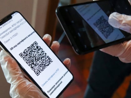 Правительство опровергло информацию о внедрении QR-кодов при посещении кинотеатров на Сахалине