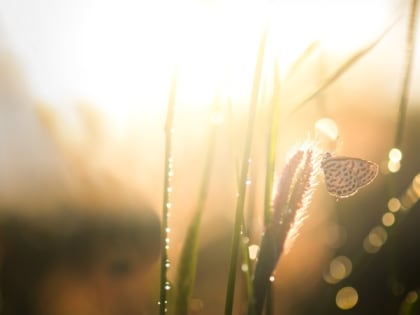 В Сахалинской области синоптики прогнозируют потепление до +17 градусов 16 апреля