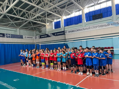 «Изумруд» блеснул яркими волейбольными красками