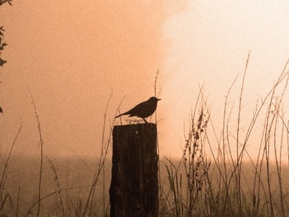 Народные приметы на 13 апреля — что нельзя делать в Чистый четверг