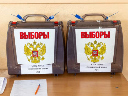 Высокий уровень организации голосования подтвердил доклад НОМа - сахалинские политологи 