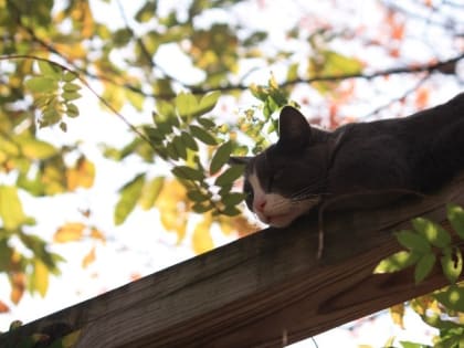 Народные приметы на 5 апреля — что нельзя делать в этот день