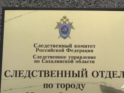 Наездом самокатчицы на маму с ребёнком в Южно-Сахалинске заинтересовался следственный комитет