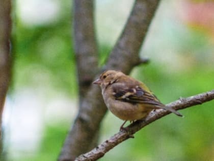 Народные приметы на 12 июня — что нельзя делать в этот день