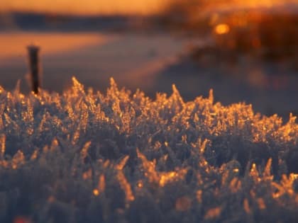 Небольшой снег и плюсовая температура ждет жителей Сахалина и Курил 12 февраля
