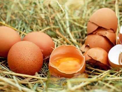 Один популярный «народный» продукт вырастет в цене к Новому году