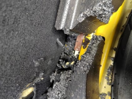 "А с крысами кто бороться будет?": вредители погрызли автомобиль жительницы Поронайска