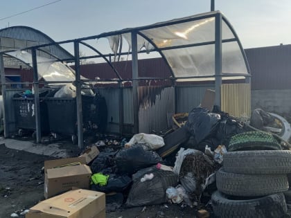 В Южно-Сахалинске горел мусорный контейнер