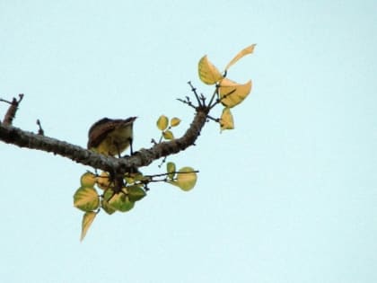 Народные приметы на 12 апреля — что нельзя делать в этот день