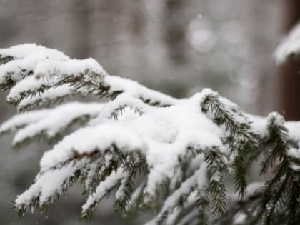 Облачная погода и туман ожидаются в Сахалинской области 4 марта