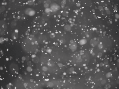 Ветра и осадки — прогноз погоды на Сахалине и Курилах на неделю