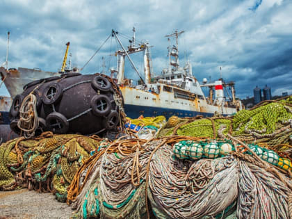 Поправки к изменениям в Таможенный кодекс ЕАЭС предотвратят рост издержек рыбаков