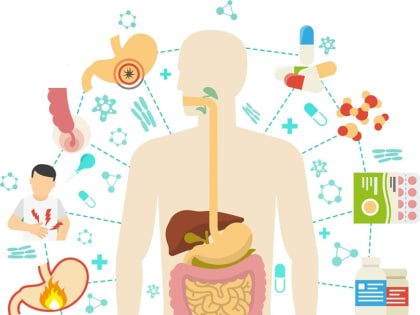 Неделя профилактики заболеваний желудочно-кишечного тракта