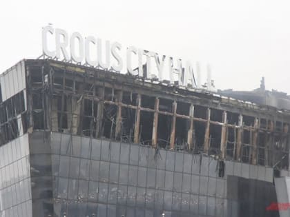 Пока вы спали: новые подробности про теракт в 