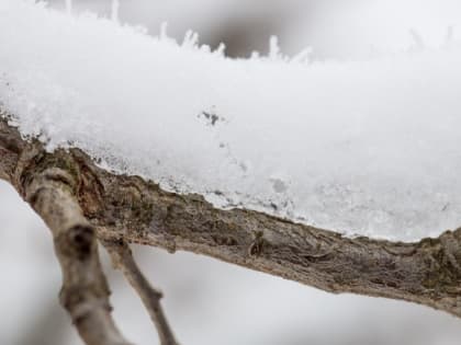 Область низкого давления повлияет на погоду в Сахалинской области 18 марта