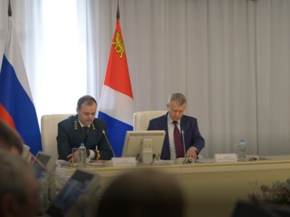 Финансирование лесного хозяйства Дальнего Востока увеличат почти на 10%
