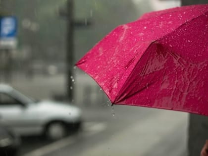 Потепление до +18 градусов и дождь обещают в Южно-Сахалинске 16 июня