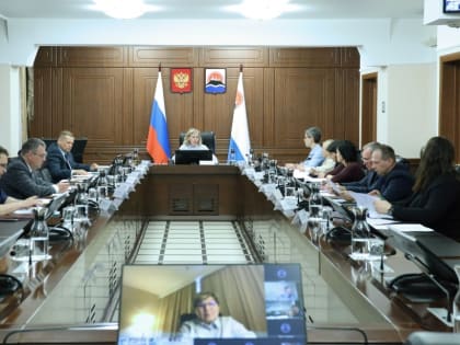 Штрафы за выбрасывание и самовыгул: камчатские депутаты обсудили поправки в ФЗ о животных