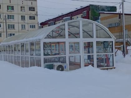 Школьники из Быкова создали «Кладовую знаний» с растениями